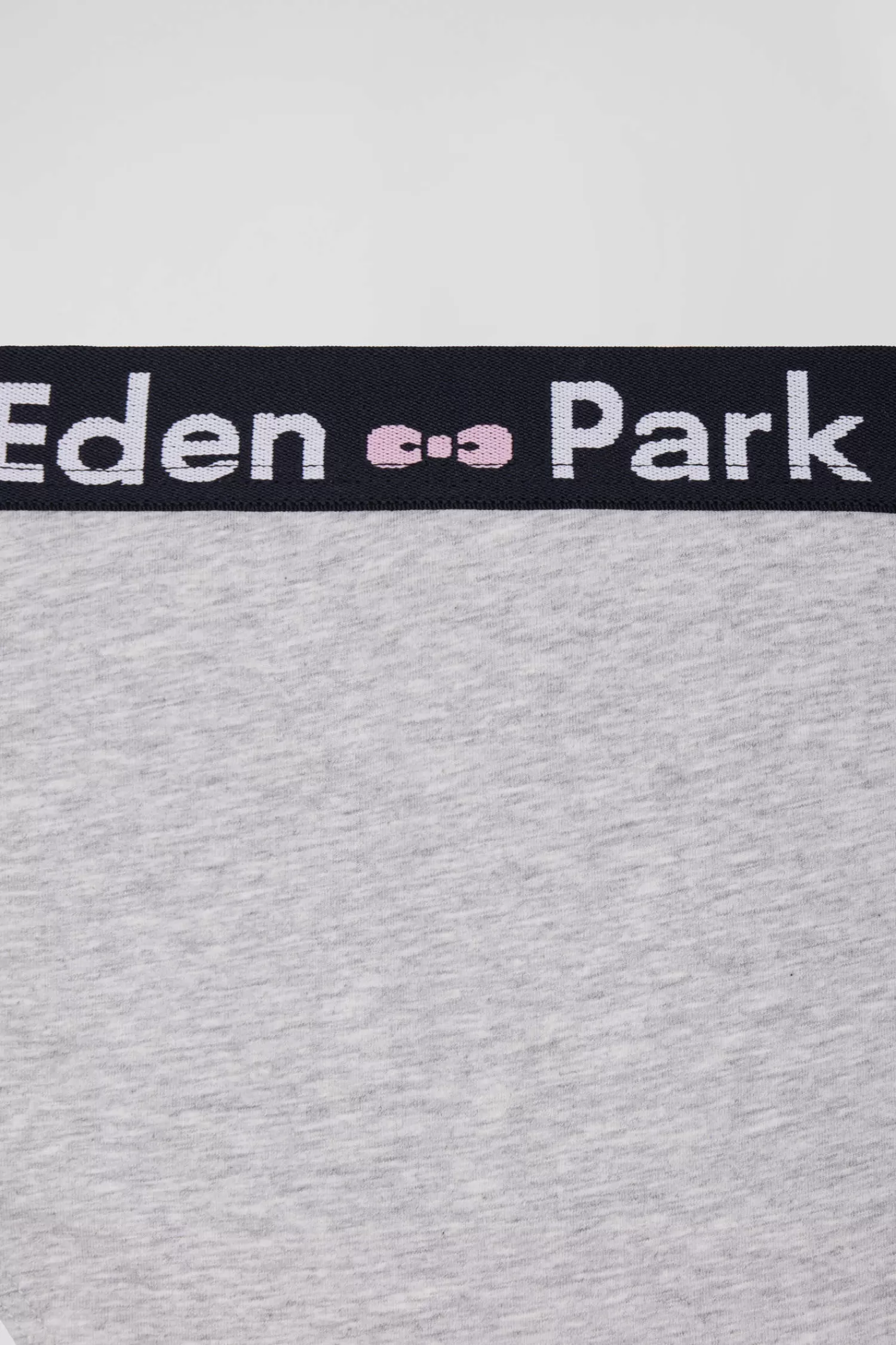 grey_stretch_cotton_brief_3.webp Eden Park Grey stretch cotton brief<Women Underwear