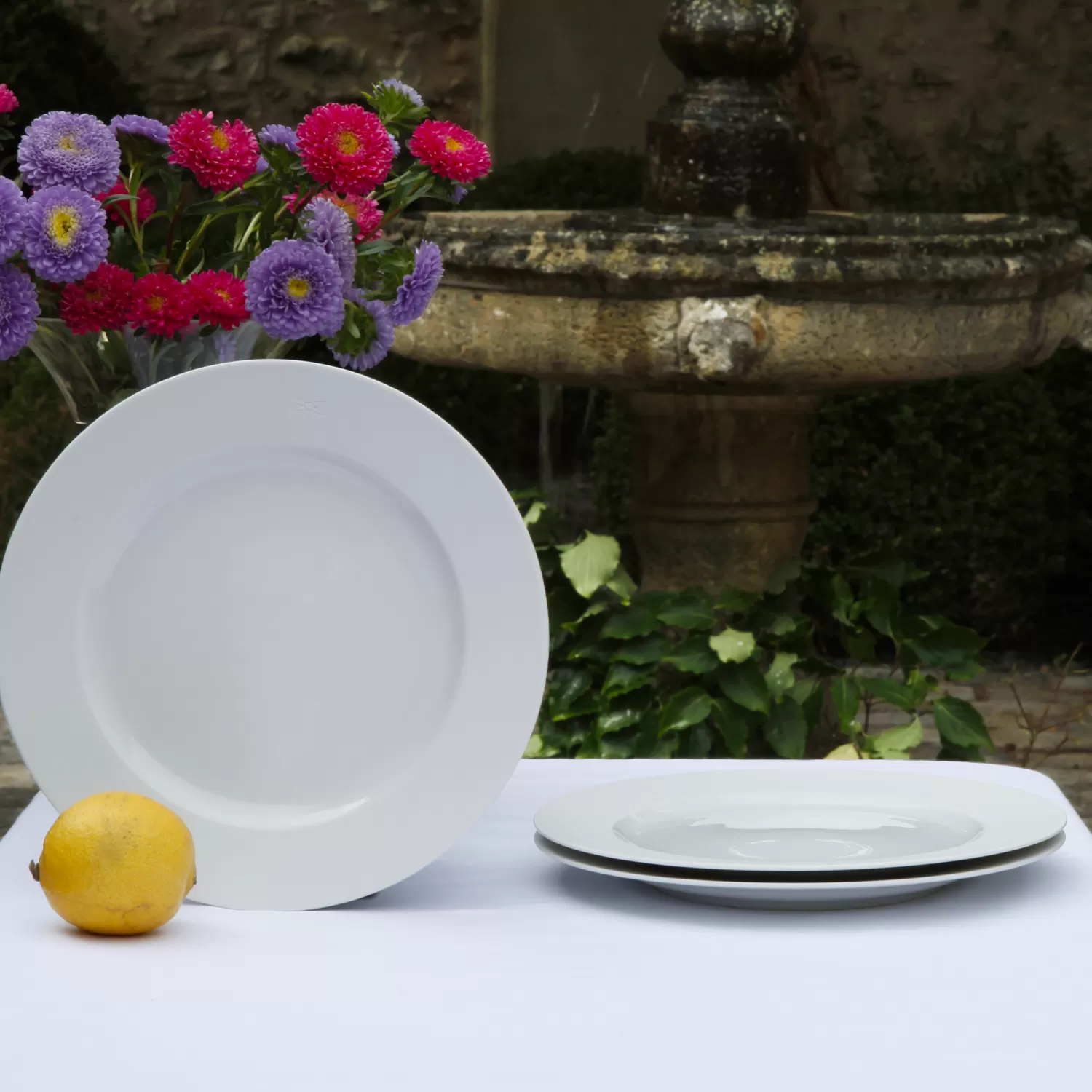 Eden Park Set of 6 White Limoges porcelain dessert plates< Plates