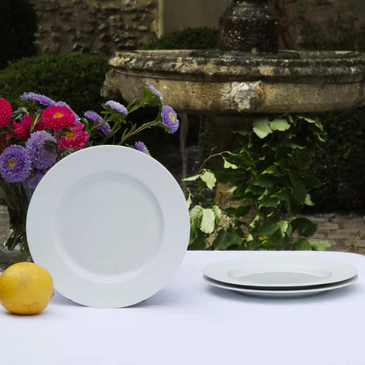 Eden Park Set of 6 White Limoges porcelain plates< Plates